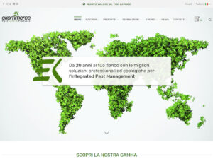 Ekommerce homepage