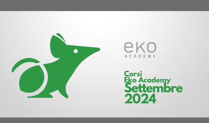 eko academy